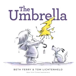 the umbrella book cover image