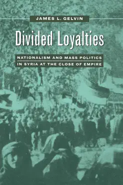 divided loyalties book cover image