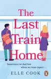 The Last Train Home synopsis, comments