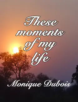 these moments book cover image