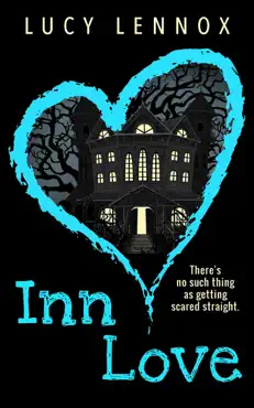 inn love book cover image