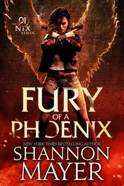 fury of a phoenix book cover image