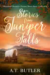Stories from Juniper Falls reviews