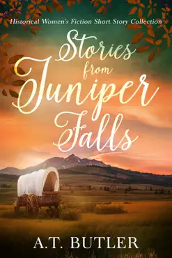 stories from juniper falls book cover image