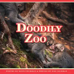 doodily zoo book cover image