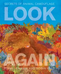 look again book cover image