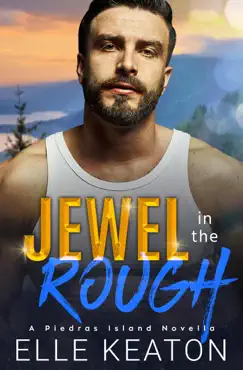 jewel in the rough book cover image