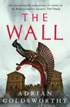 The Wall synopsis, comments