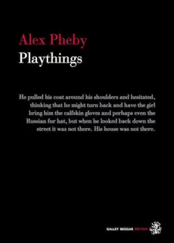 playthings book cover image