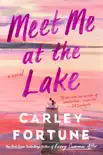 Meet Me at the Lake synopsis, comments