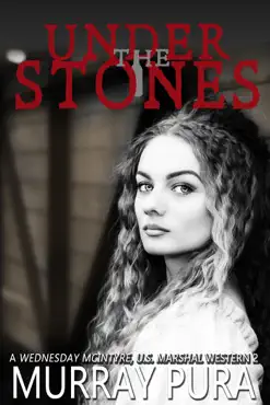 under the stones book cover image