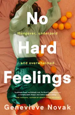 no hard feelings book cover image