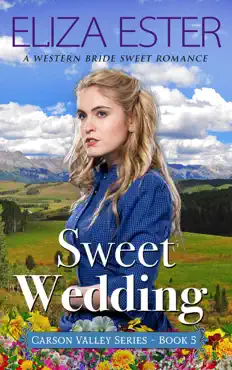 sweet wedding book cover image