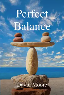 perfect balance book cover image