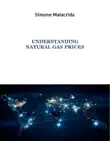Understanding Natural Gas Prices synopsis, comments