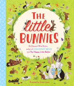 the little bunnies book cover image