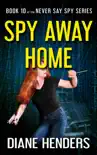 Spy Away Home sinopsis y comentarios