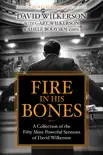 Fire in His Bones synopsis, comments