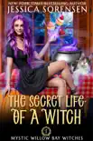The Secret Life of a Witch synopsis, comments