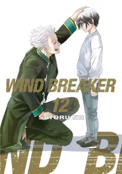 wind breaker volume 12 book cover image