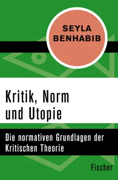 kritik, norm und utopie book cover image