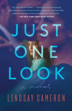 just one look book cover image