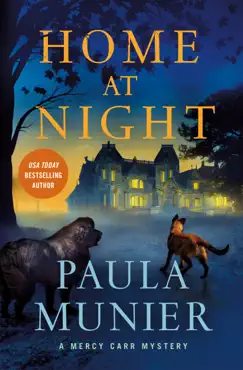 home at night book cover image