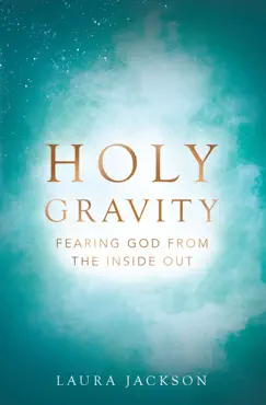 holy gravity book cover image