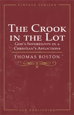the crook in the lot book cover image