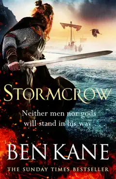 stormcrow imagen de la portada del libro