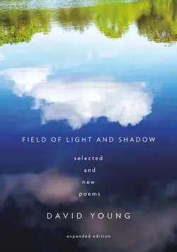 field of light and shadow book cover image
