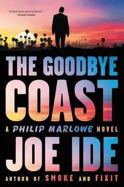 the goodbye coast book cover image