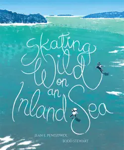 skating wild on an inland sea book cover image