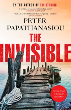 the invisible book cover image