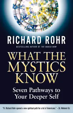 what the mystics know book cover image