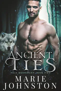 ancient ties book cover image