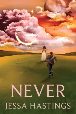 never book cover image
