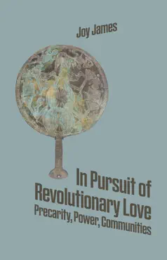 in pursuit of revolutionary love book cover image