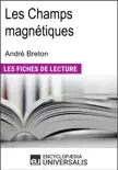 Les Champs magnétiques d'André Breton sinopsis y comentarios