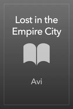 lost in the empire city book cover image
