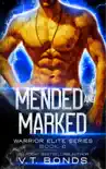 Mended and Marked sinopsis y comentarios
