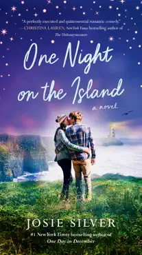 one night on the island book cover image