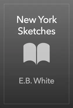 new york sketches imagen de la portada del libro
