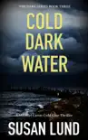 Cold Dark Water sinopsis y comentarios