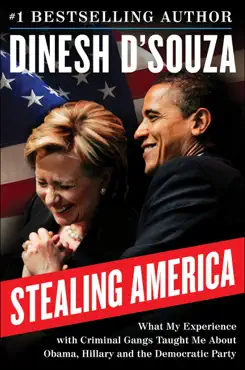 stealing america book cover image