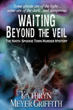 waiting beyond the veil book cover image