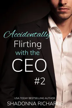 accidentally flirting with the ceo 2 book cover image