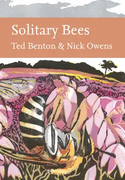 solitary bees imagen de la portada del libro