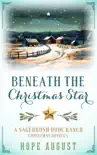 Beneath the Christmas Star synopsis, comments