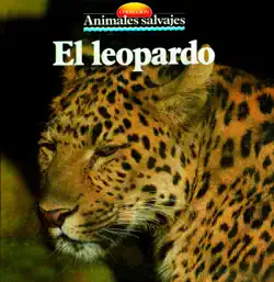 el leopardo book cover image